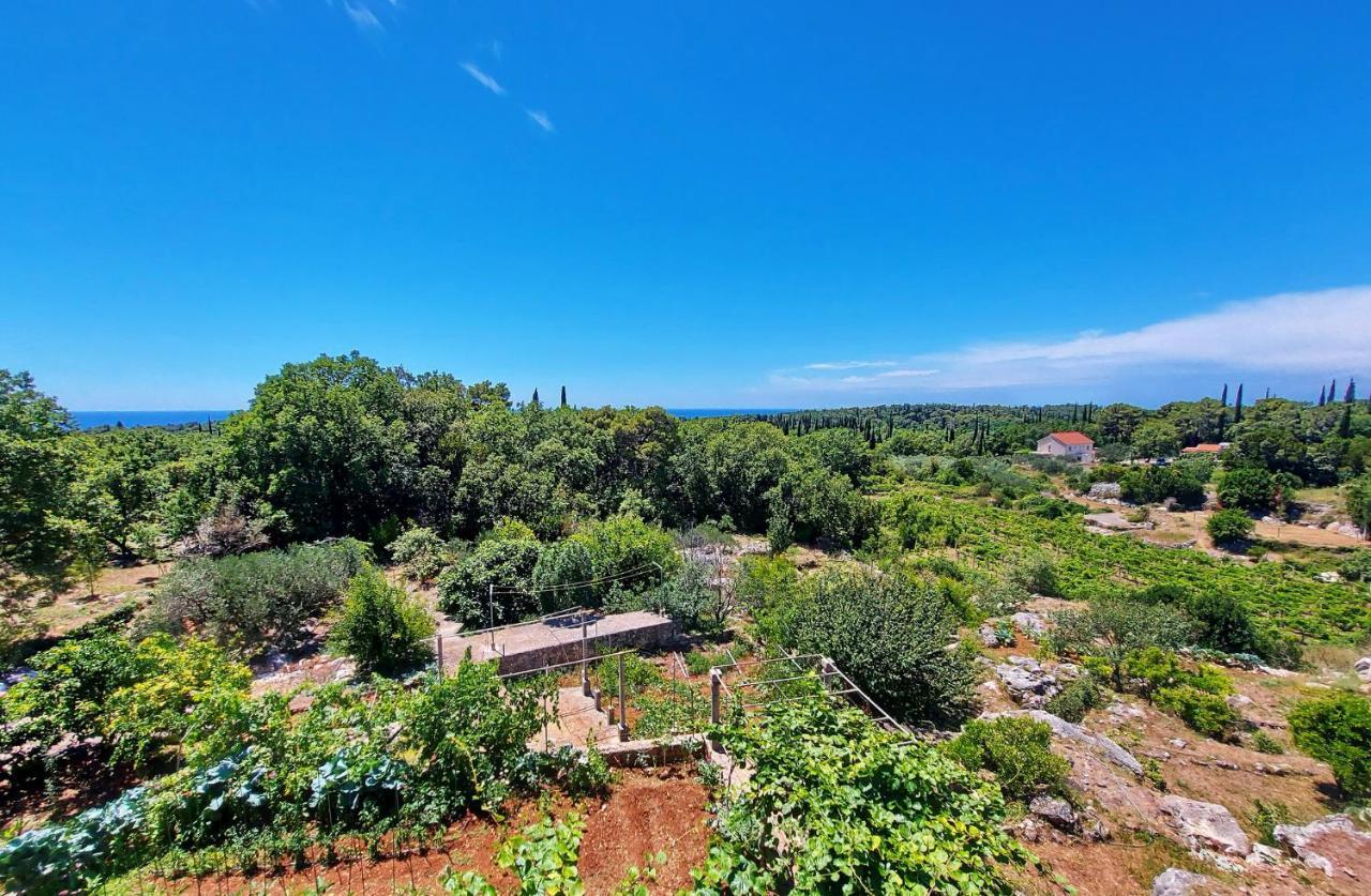 Le Petit Apartment Cilipi Luaran gambar